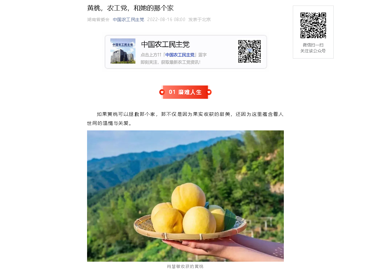 爱心黄桃专车发往衡阳，爱心订单发往高山桃农