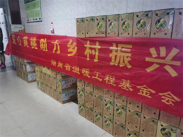 爱心黄桃专车发往衡阳，爱心订单发往高山桃农