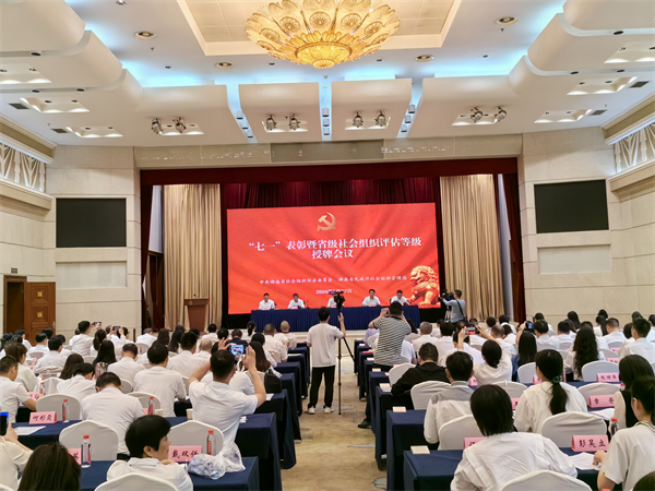 湖南省温暖工程基金会党支部获评“先进基层党组织”