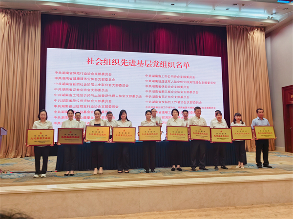 湖南省温暖工程基金会党支部获评“先进基层党组织”