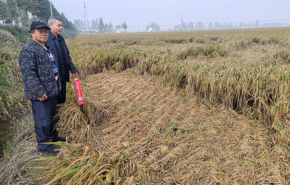 为受灾农户送温暖 为受灾农户送温暖