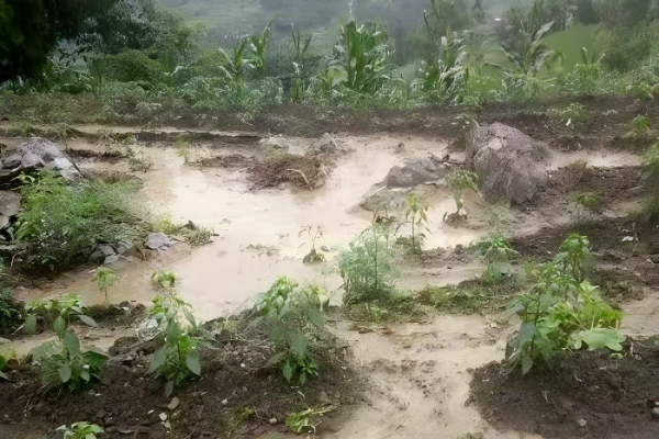 为永顺县芙蓉镇雨龙村5户受灾家庭纾困