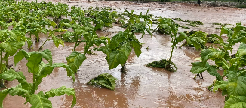 援助永顺县雨禾村6户受灾家庭