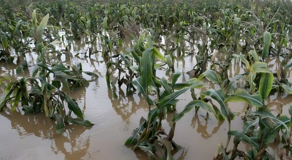 援助永顺县雨禾村6户受灾家庭