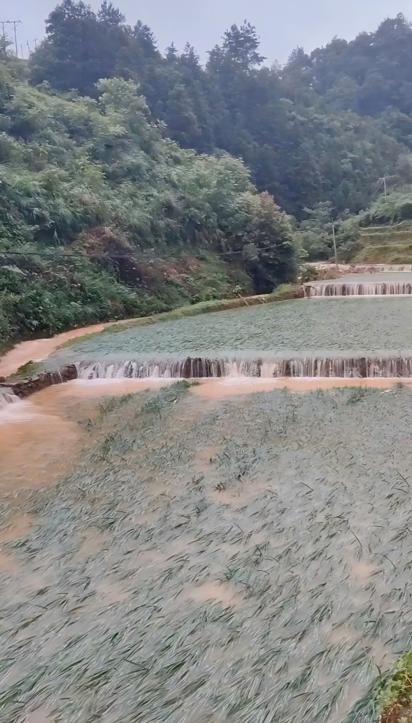 帮扶湘西芙蓉镇雨龙村受灾农户